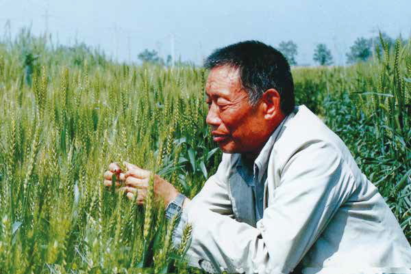 赵洪璋：麦济苍生